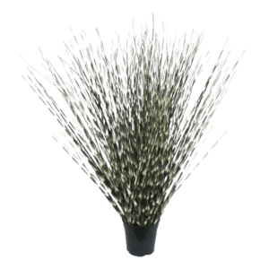 Kunstig Zebragress sort/hvit H60cm