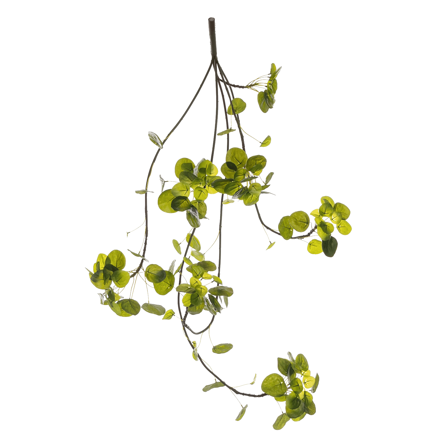 Kunstig hengeplante peperomia