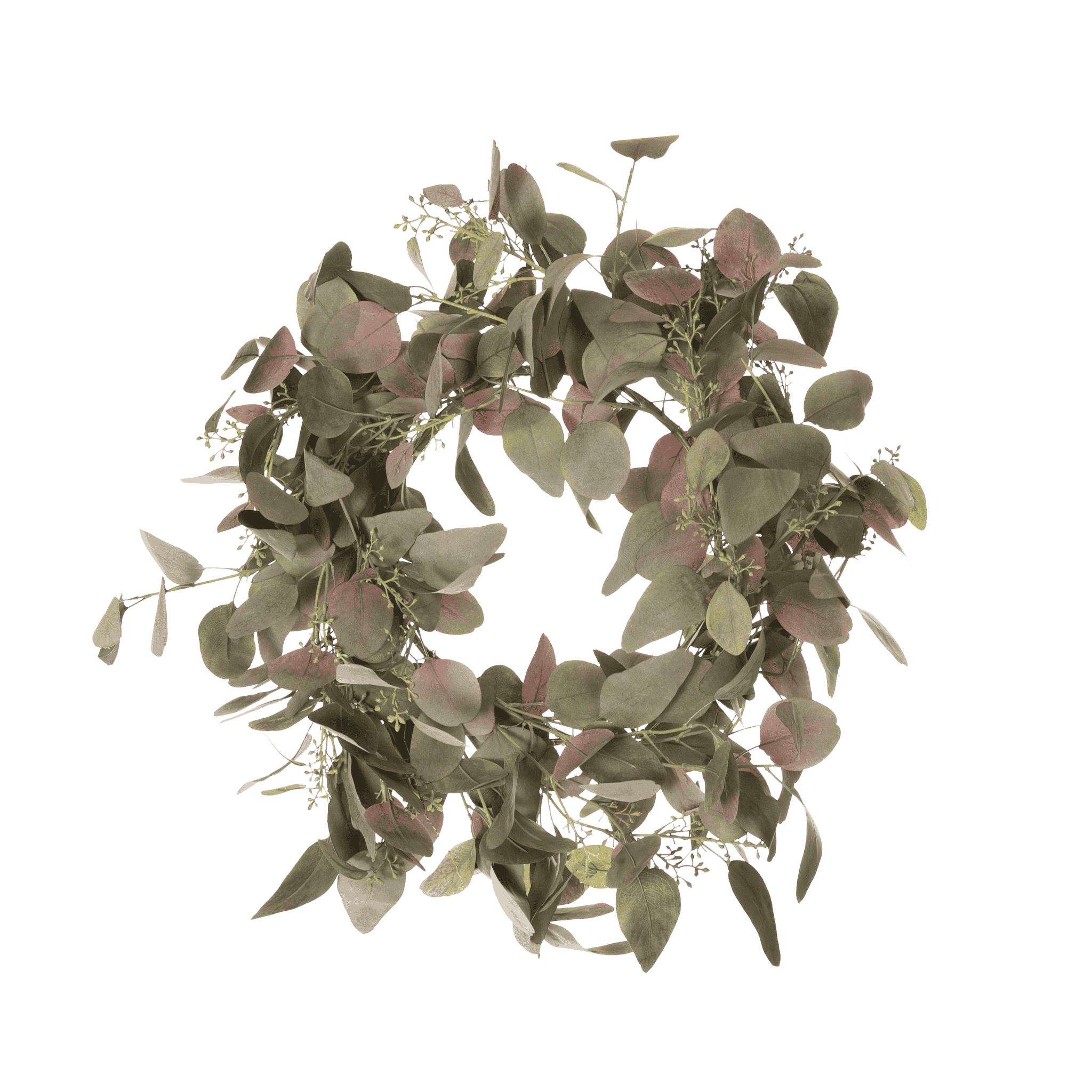 Eucalypthuskrans