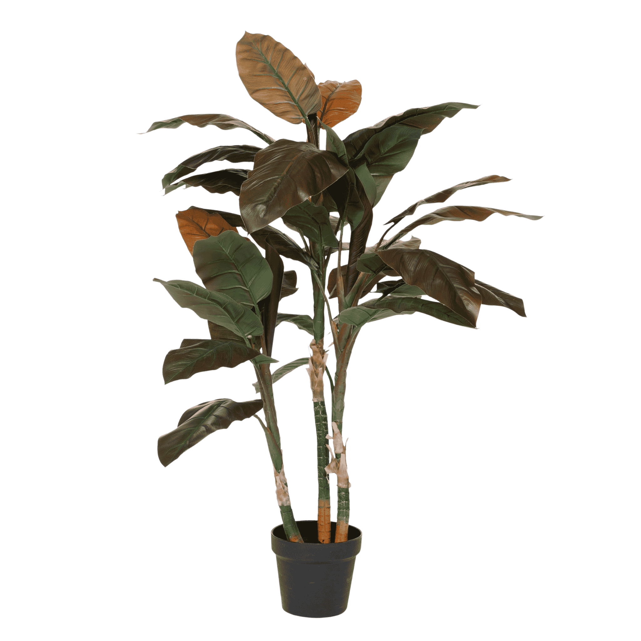 Kunstig Cordyline