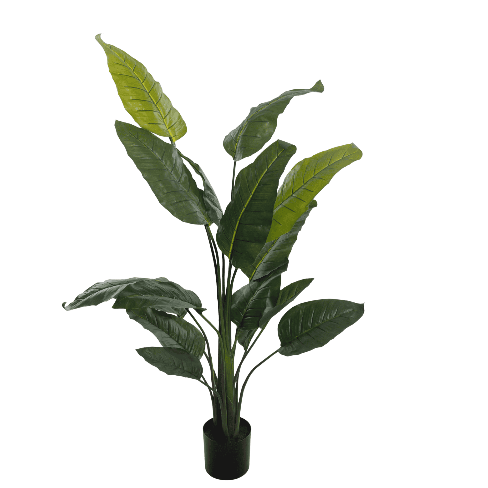 Kunstig strelitzia