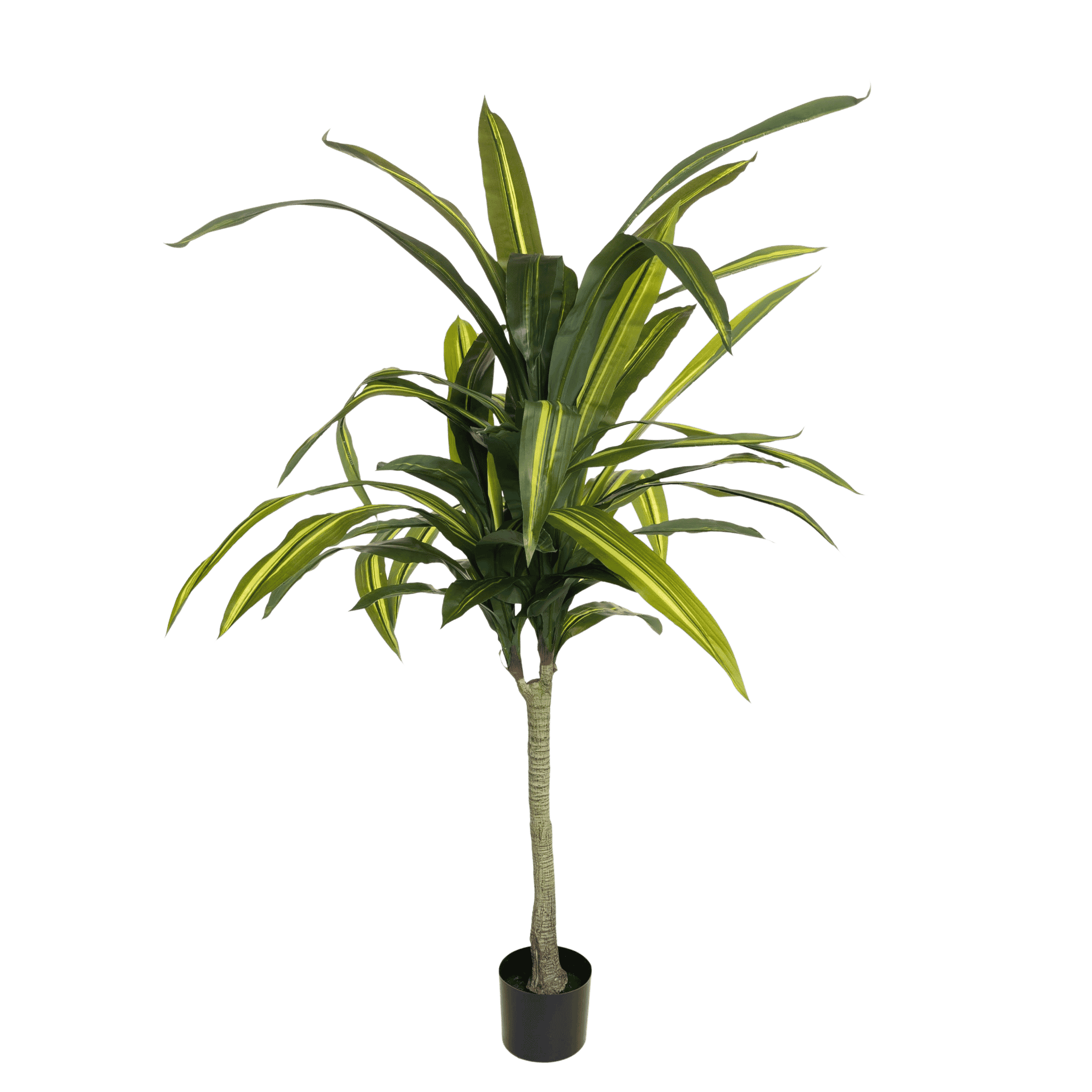 Kunstig Dracena