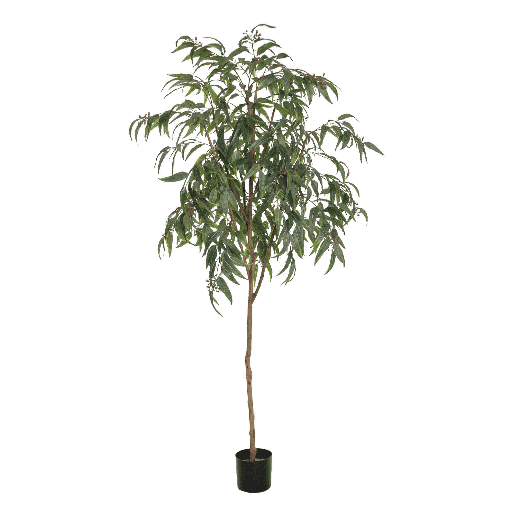 Kunstig eucalytustre