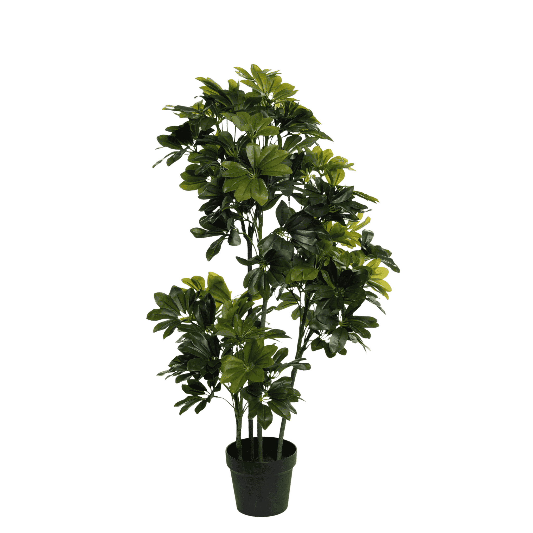Kunstig Schefflera