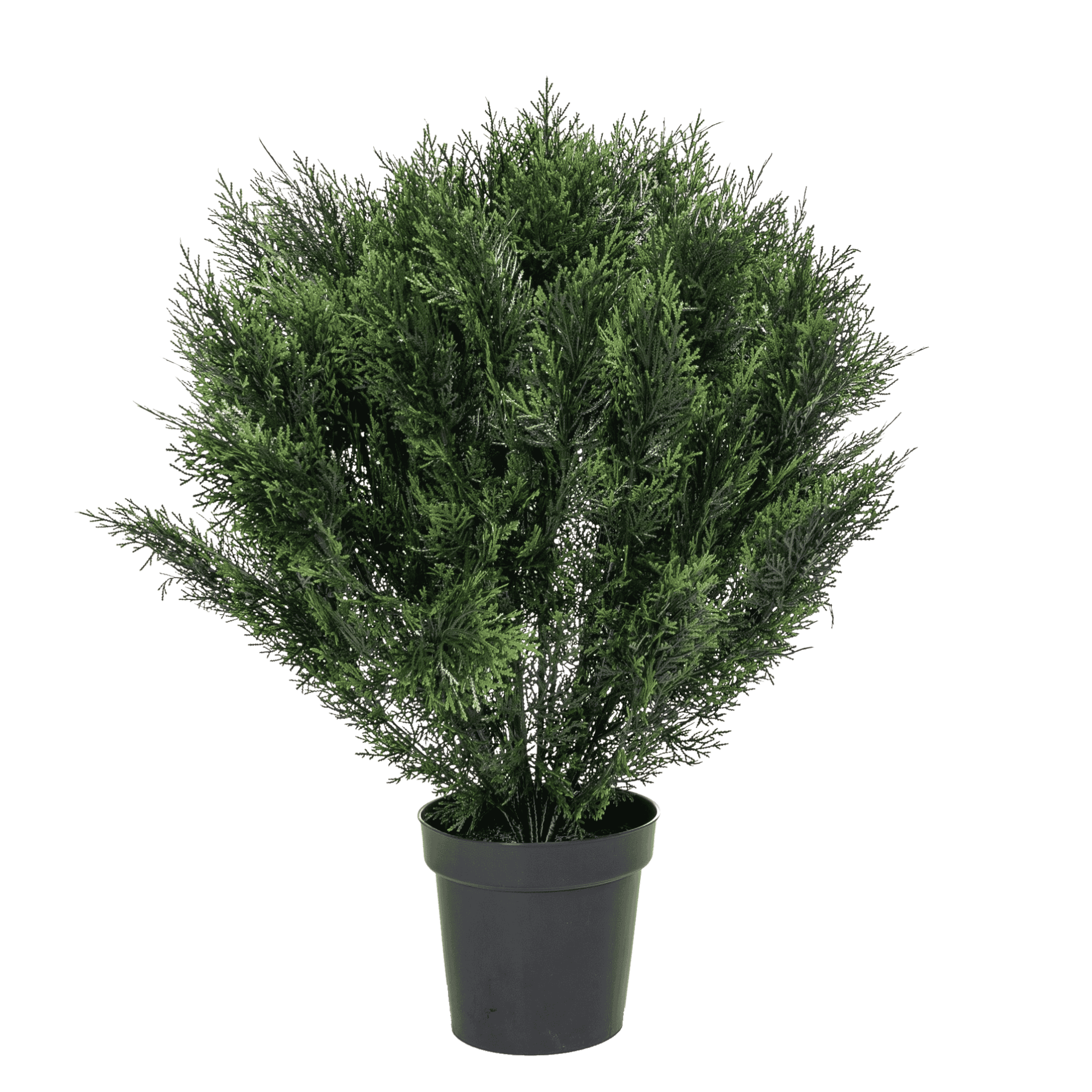 Kunstig cypress