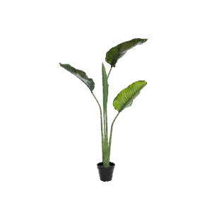 Kunstig Bananpalme travellers 145cm