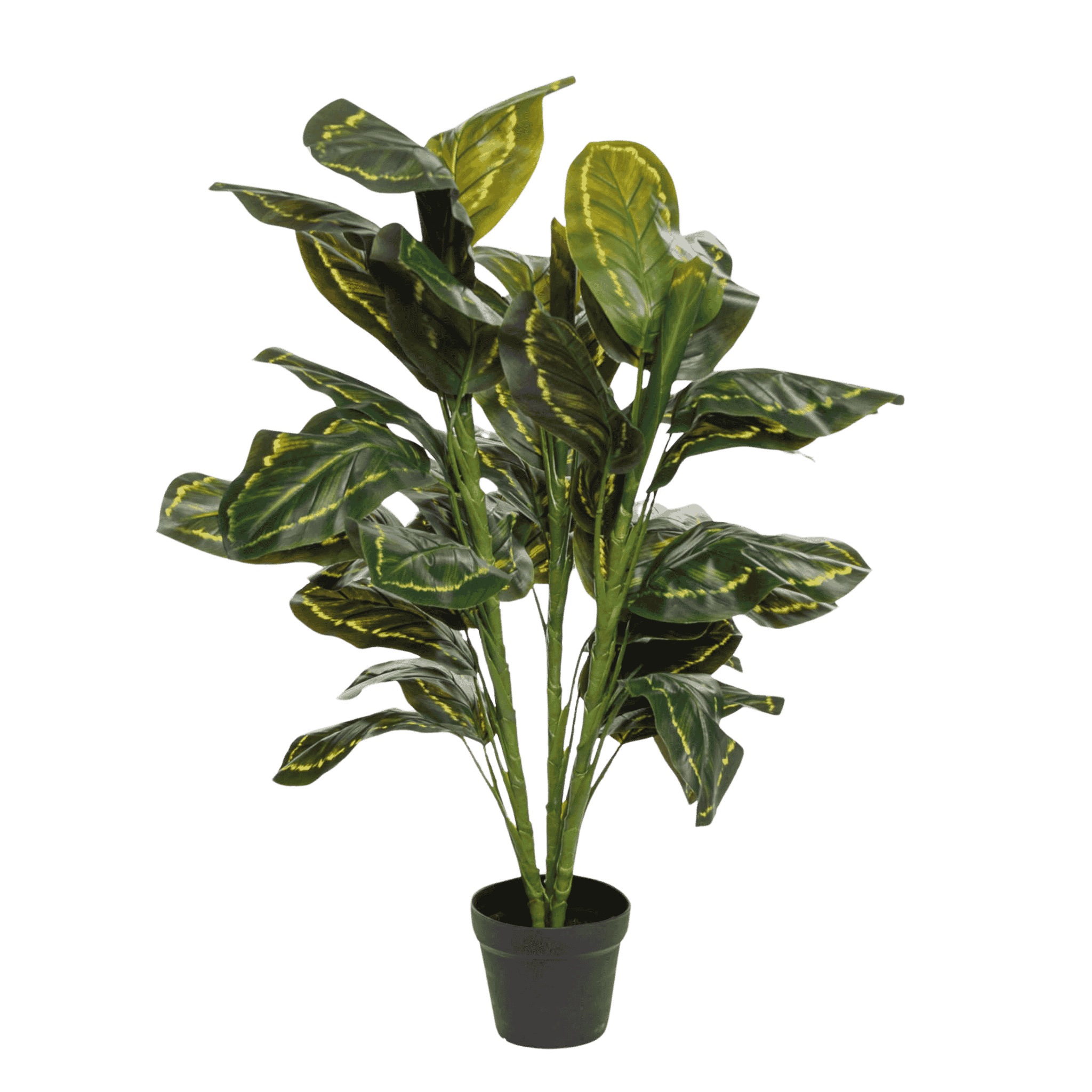 Kunstig Calathea