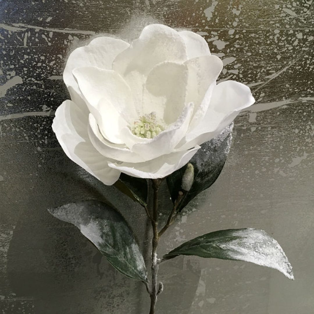 16858_magnolia_sne_hvit1.jpg