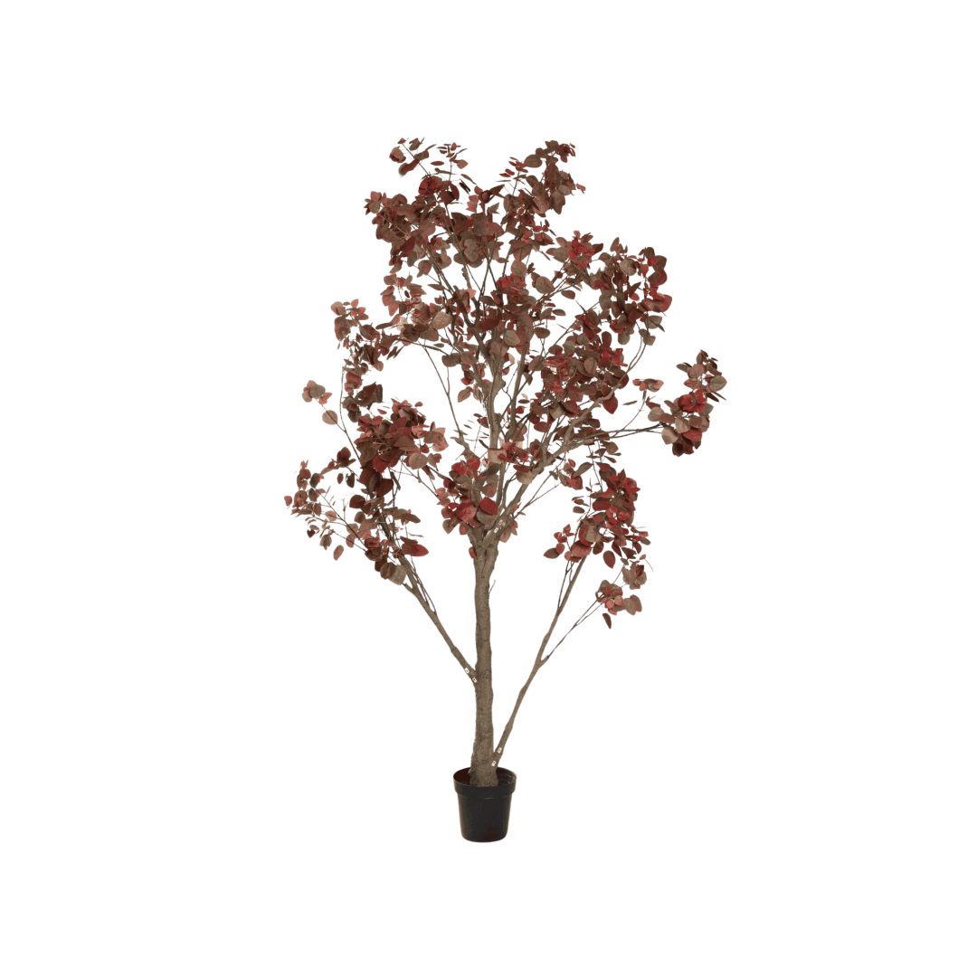 17200_PNG