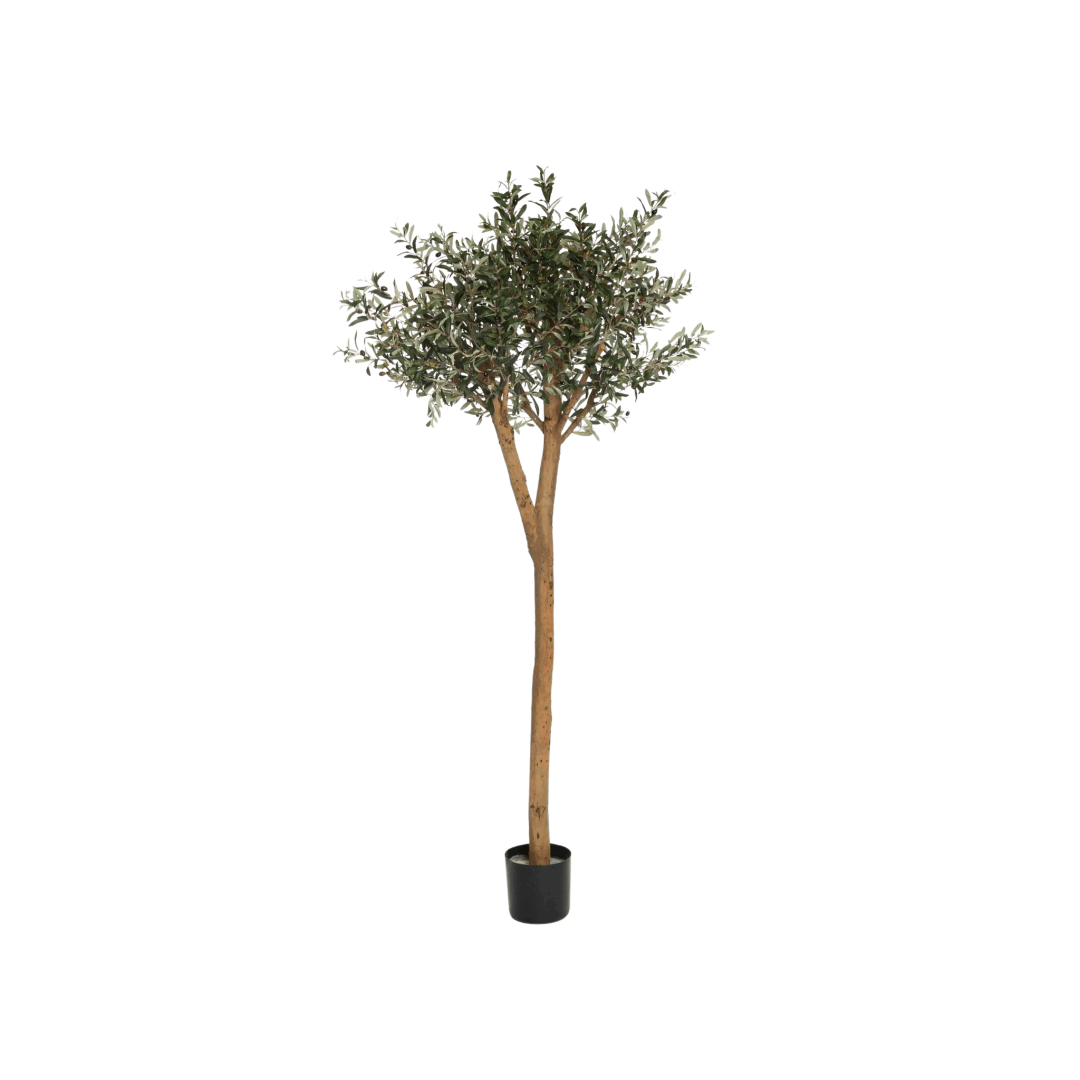 17412_PNG