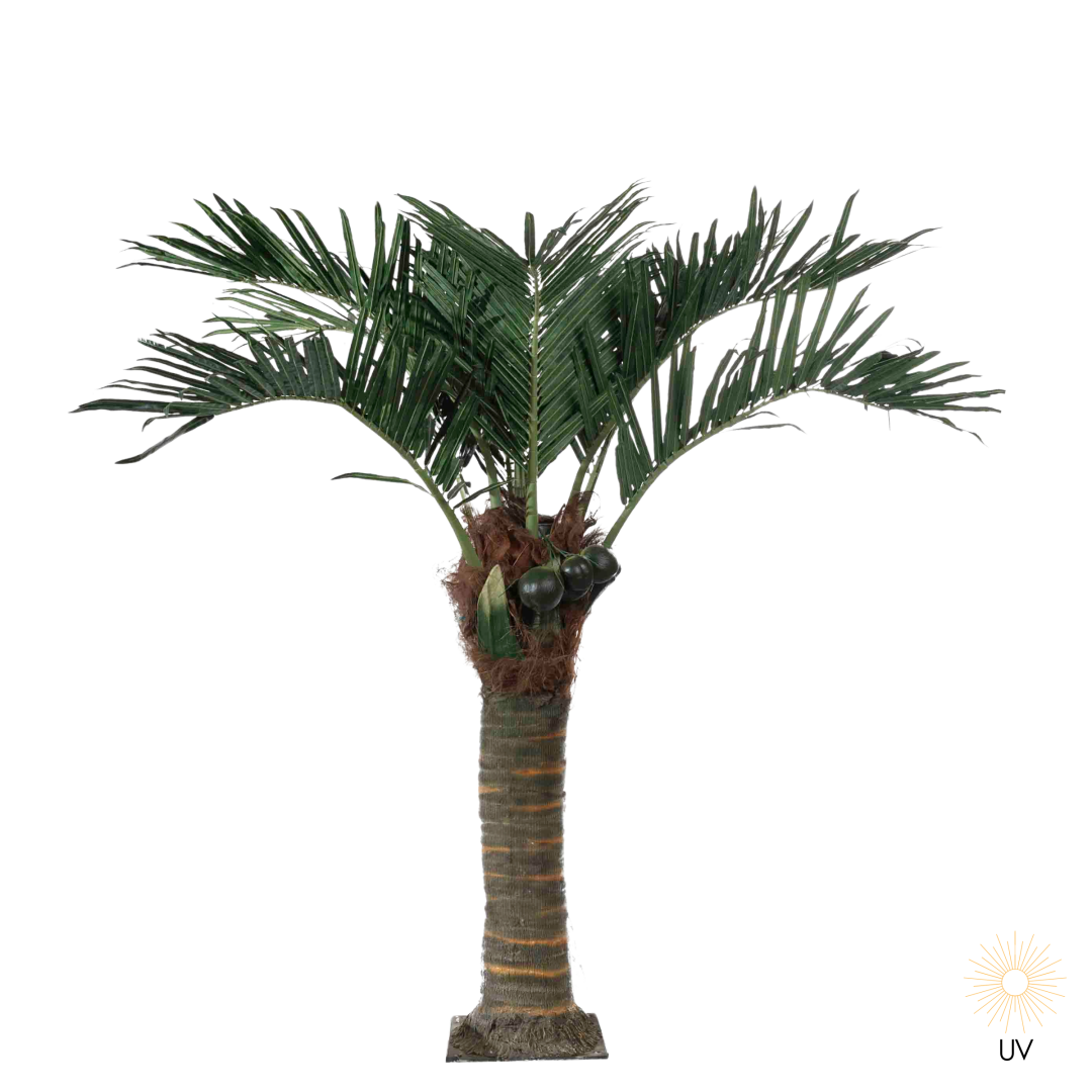 17445 Kokospalme UV 300cm PNG