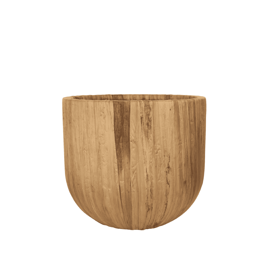 Trepotte