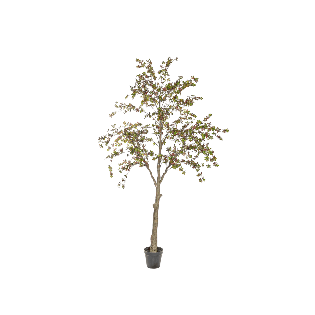 17588_PNG