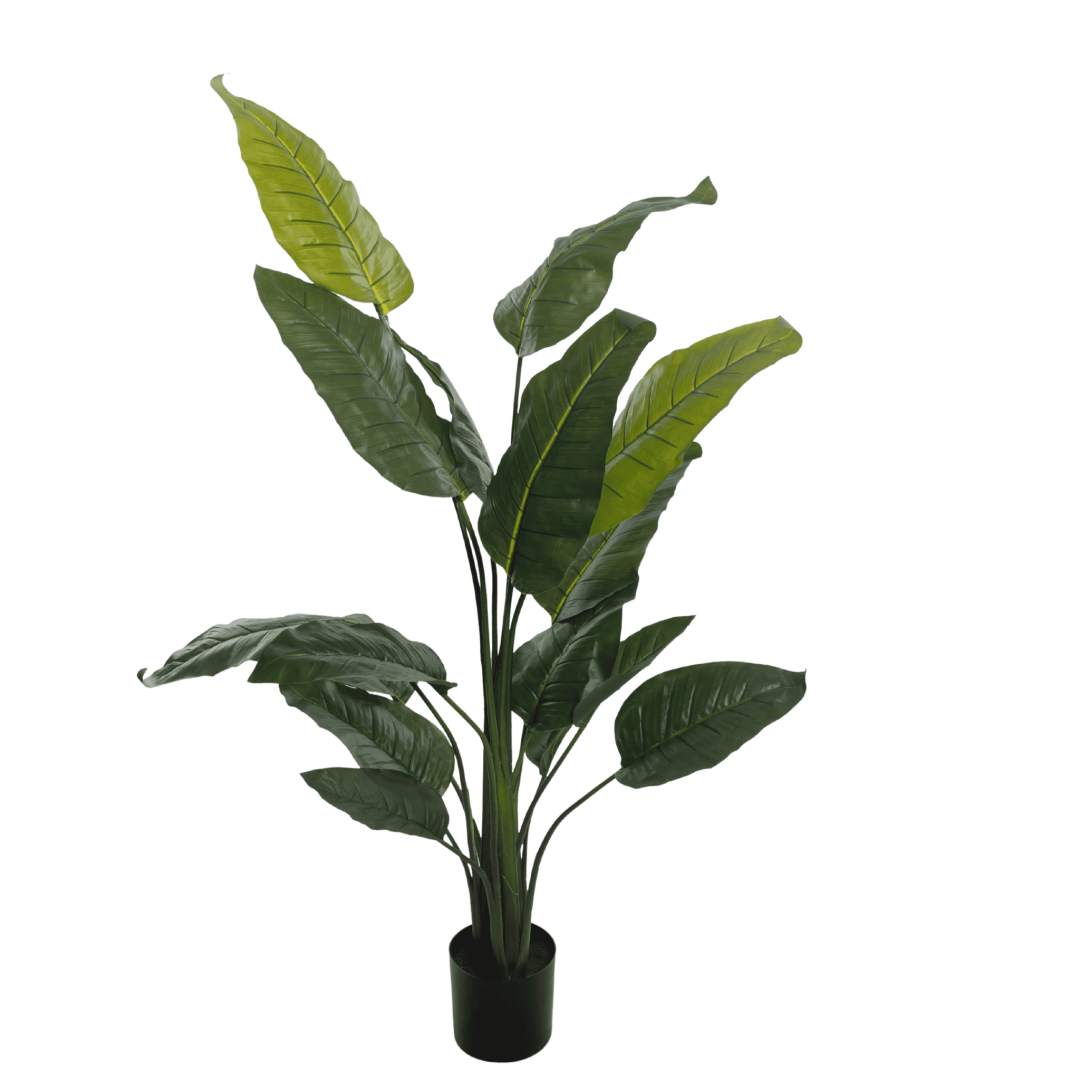 Kunstig strelitzia