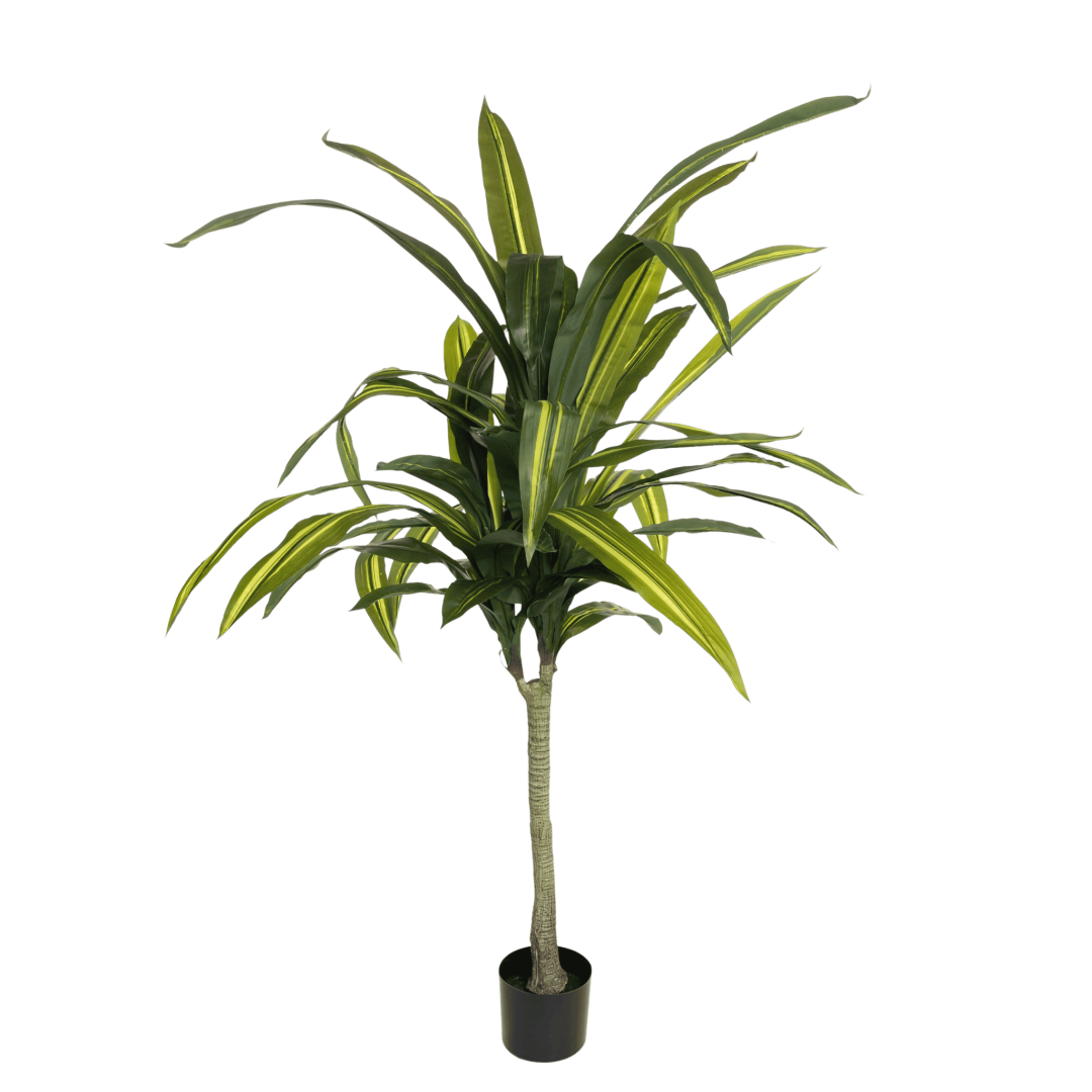 Kunstig Dracena