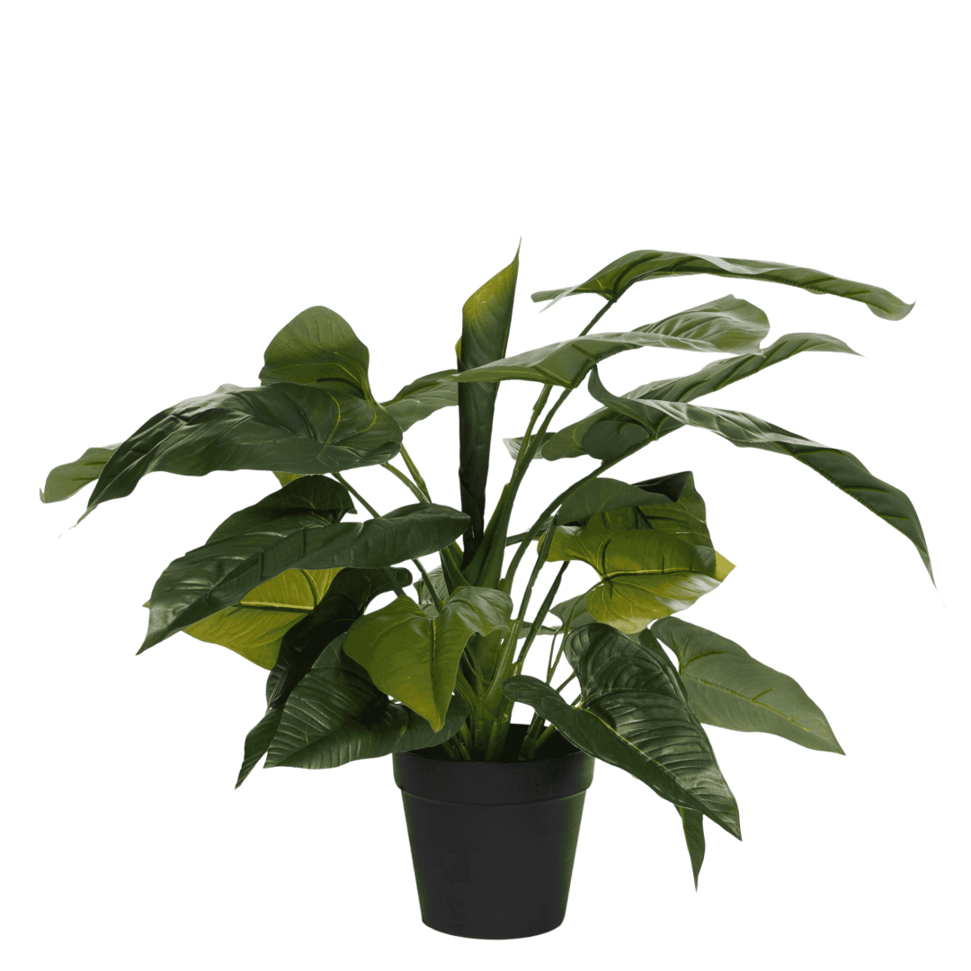 Kunstig Anthurium