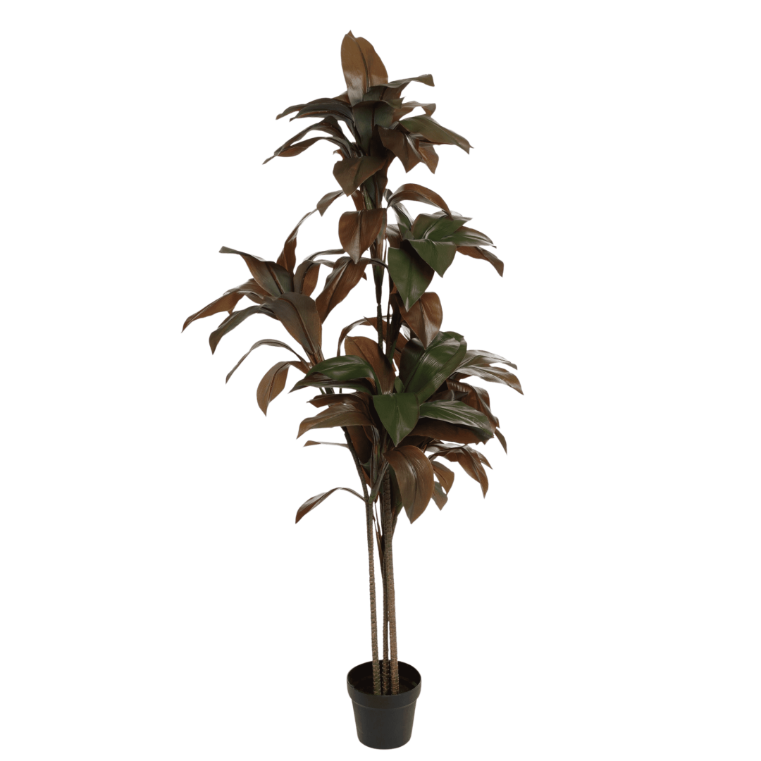 Kunstig Cordyline