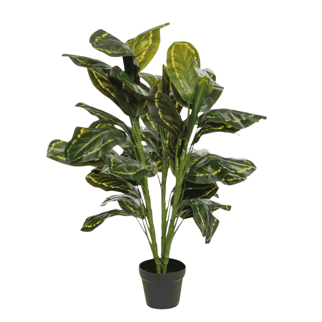 Kunstig Calathea