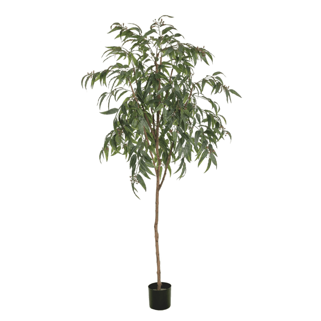 Kunstig eucalytustre