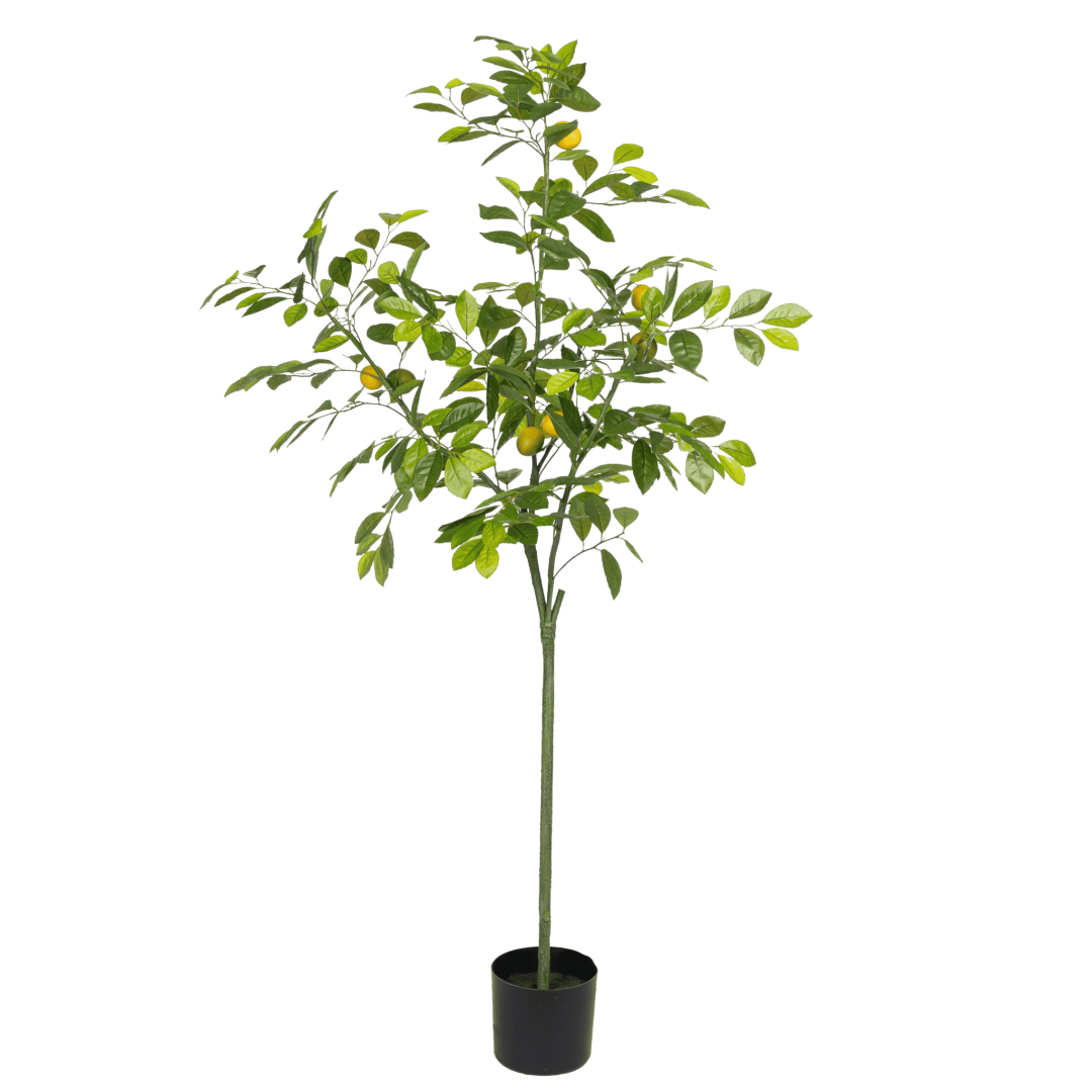 Kunstig sitrontre