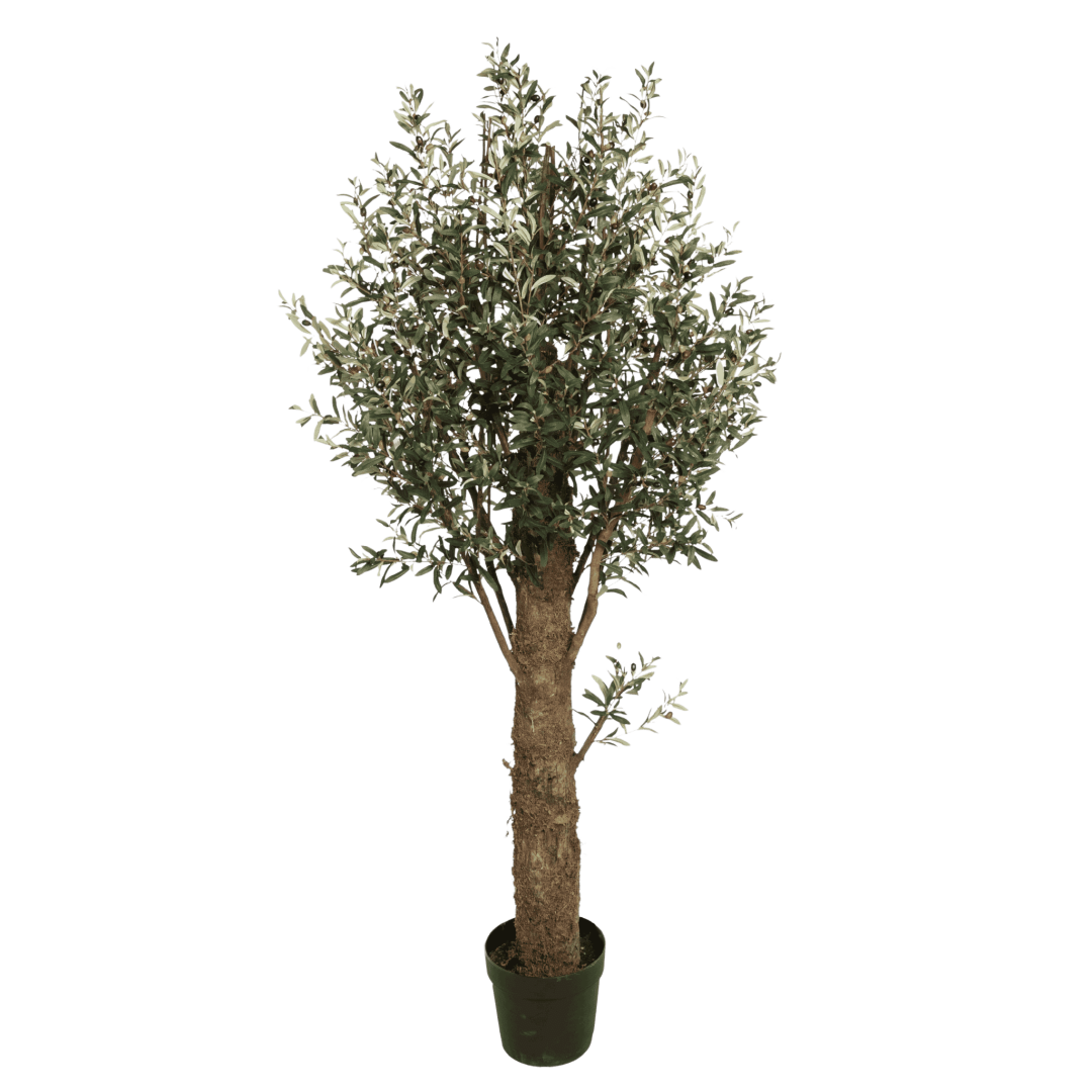Kunstig oliventre