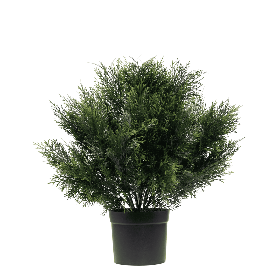 Kunstig cypress
