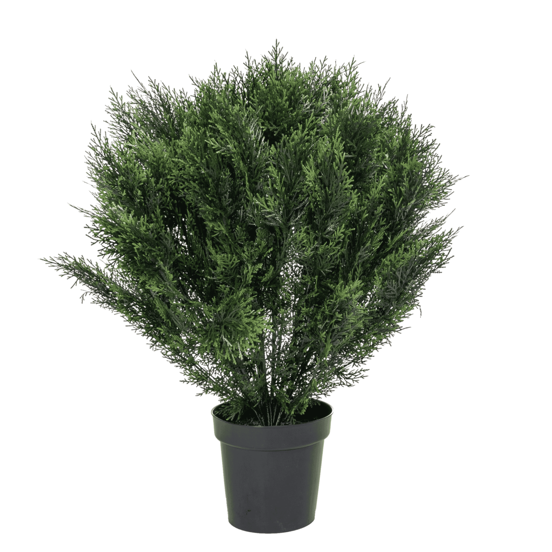 Kunstig cypress