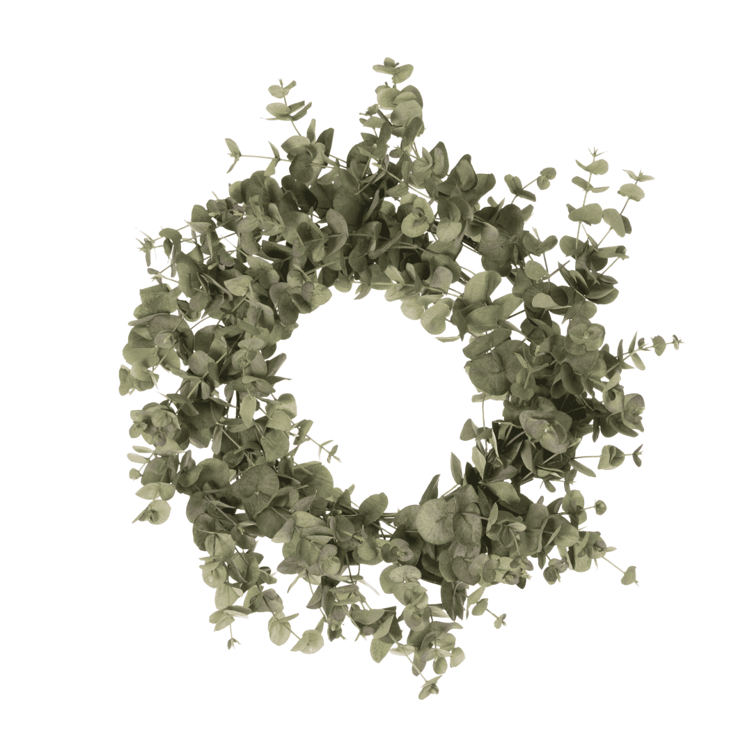 Eucalypthuskrans