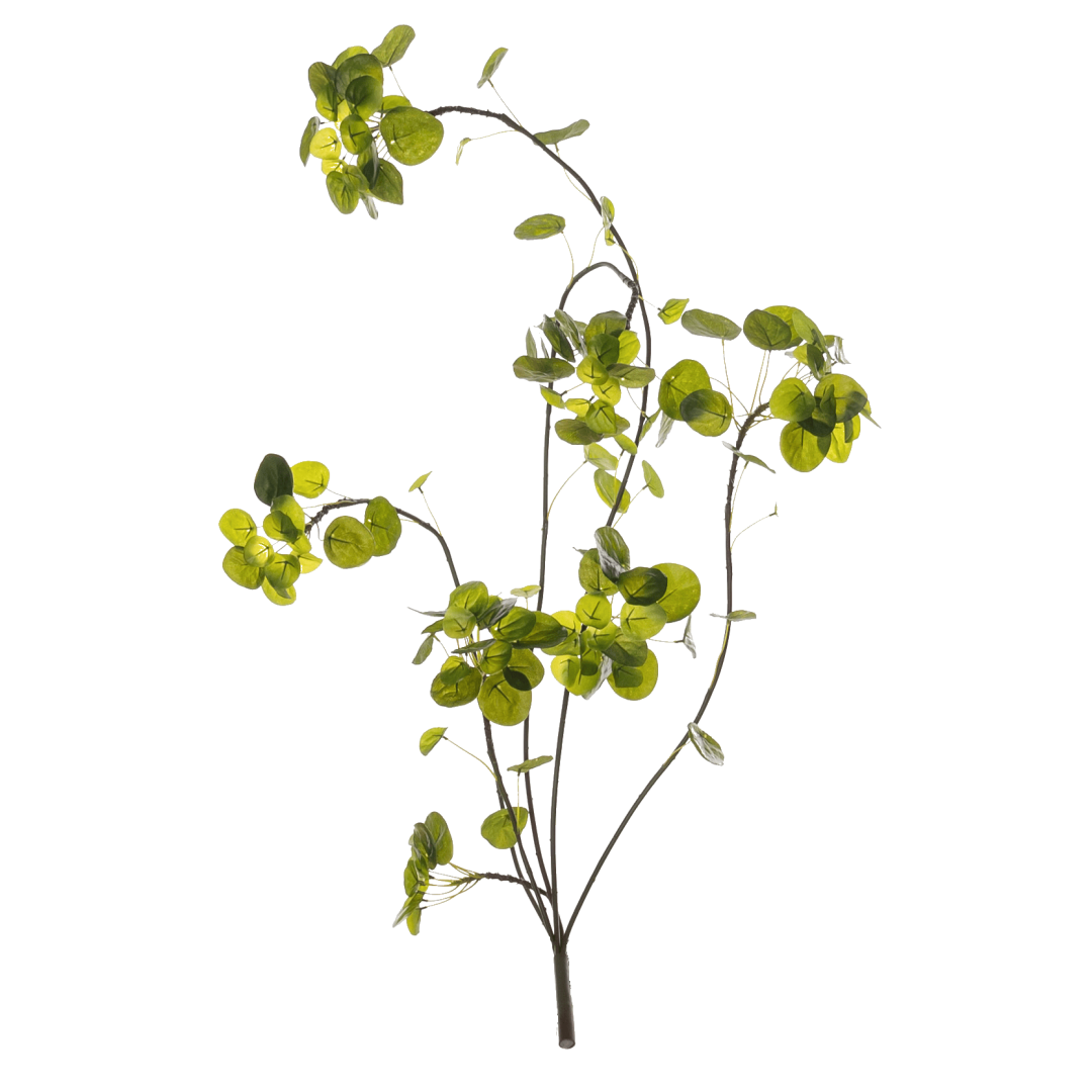 Kunstig hengeplante peperomia