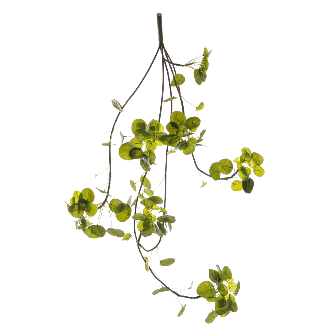 Kunstig hengeplante peperomia