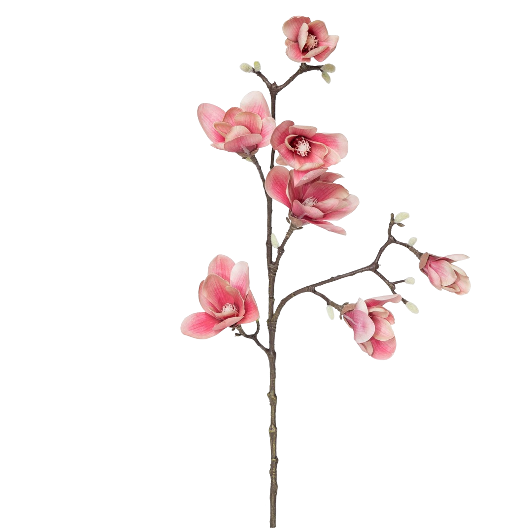 Gren_magnolia_rosa_90cm_16590