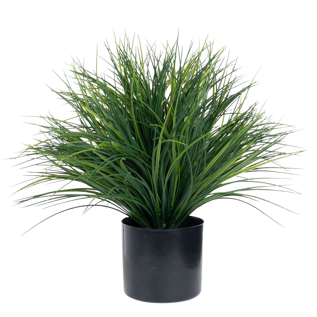 Plante_Kinagress_thin_UV_gronn_48_cm_17693_1-.png