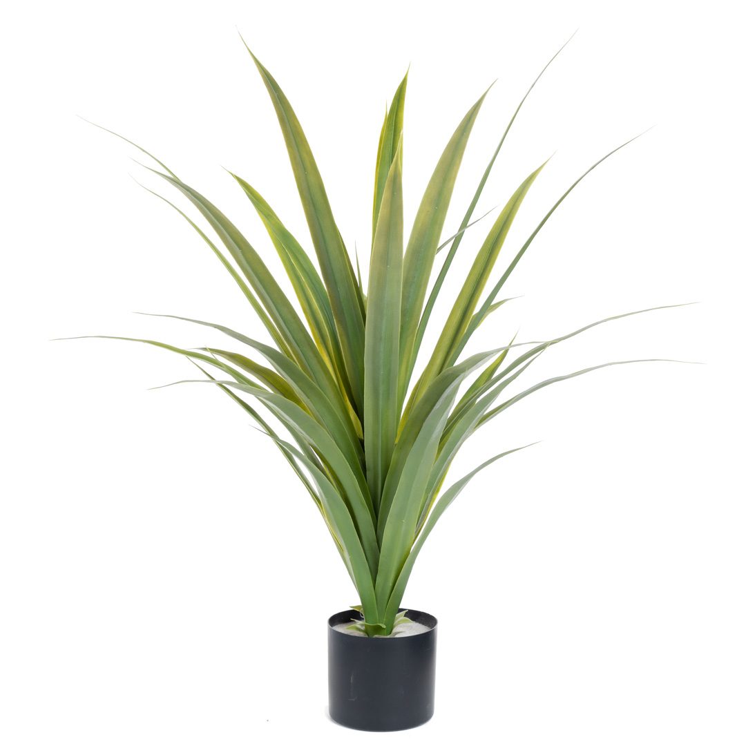 Plante_agave_longleaf_grønn_H85cm_17182_1