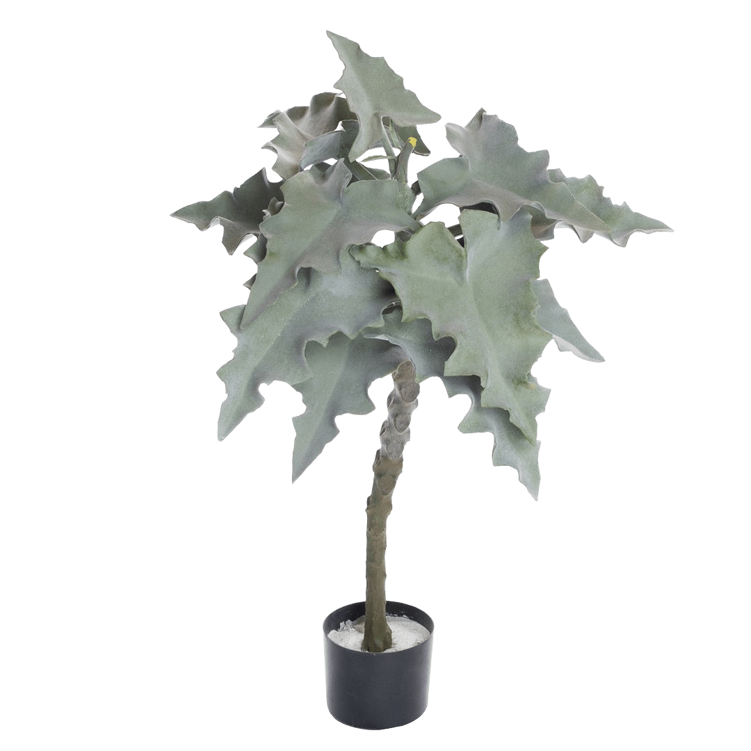Plante_alocasia_pa_stamme_stovet_H90cm_17184_1-.png
