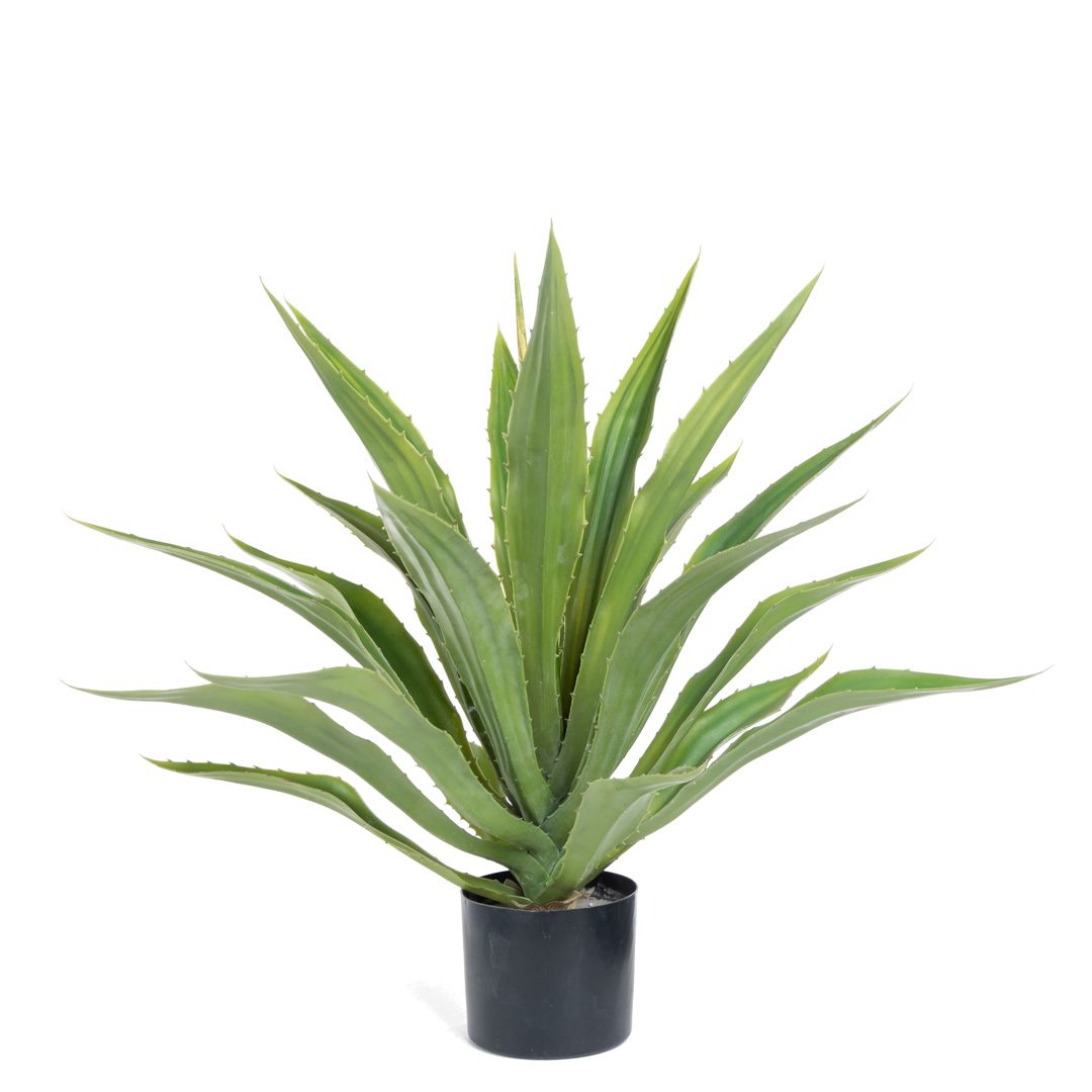 Plante_aloehola_grønn_H70cm_17179_1