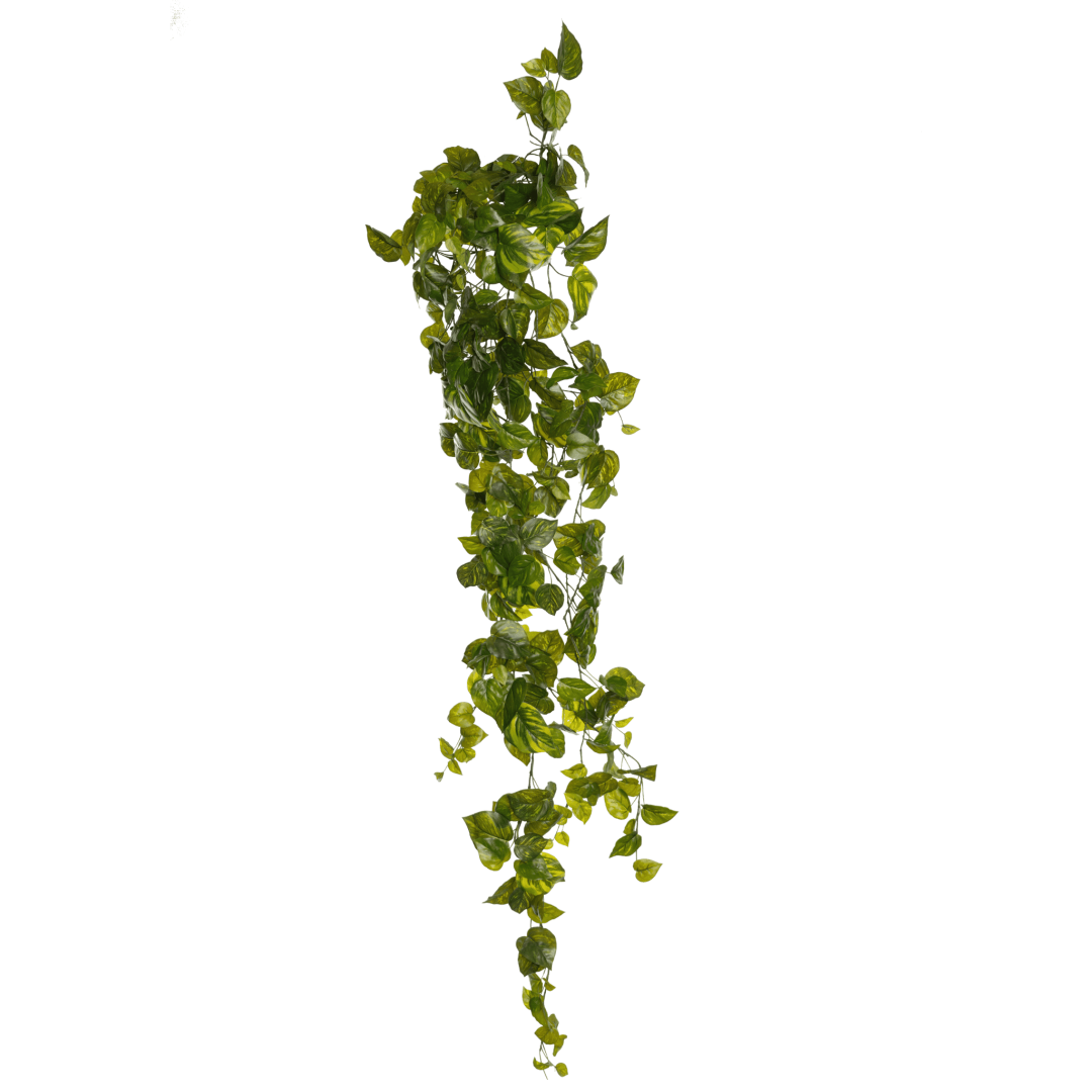 Kunstig hengeplante gullranke