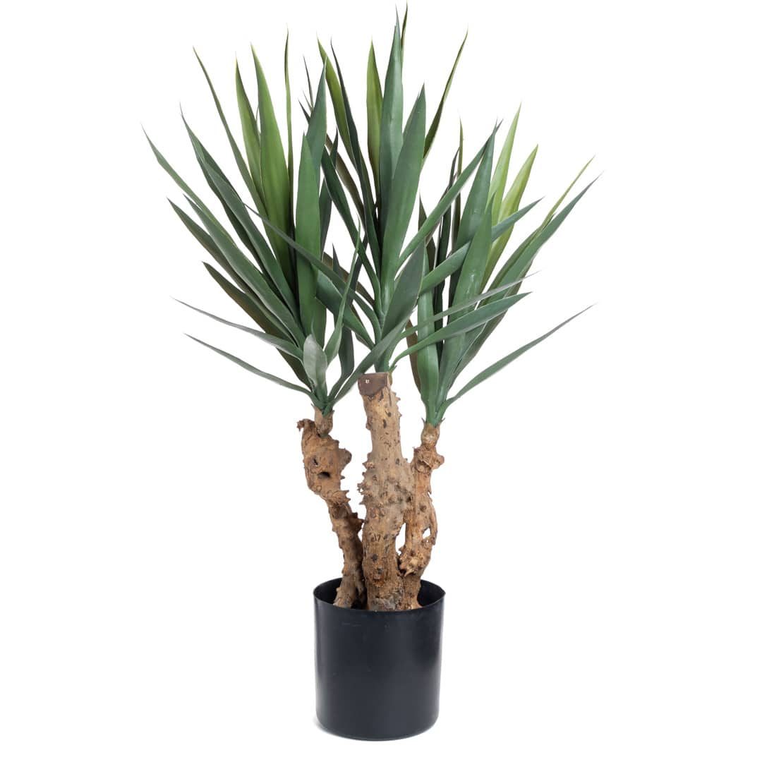 Plante_hengende_eucalyptus_burgunder_80cm_u/p_16593_1