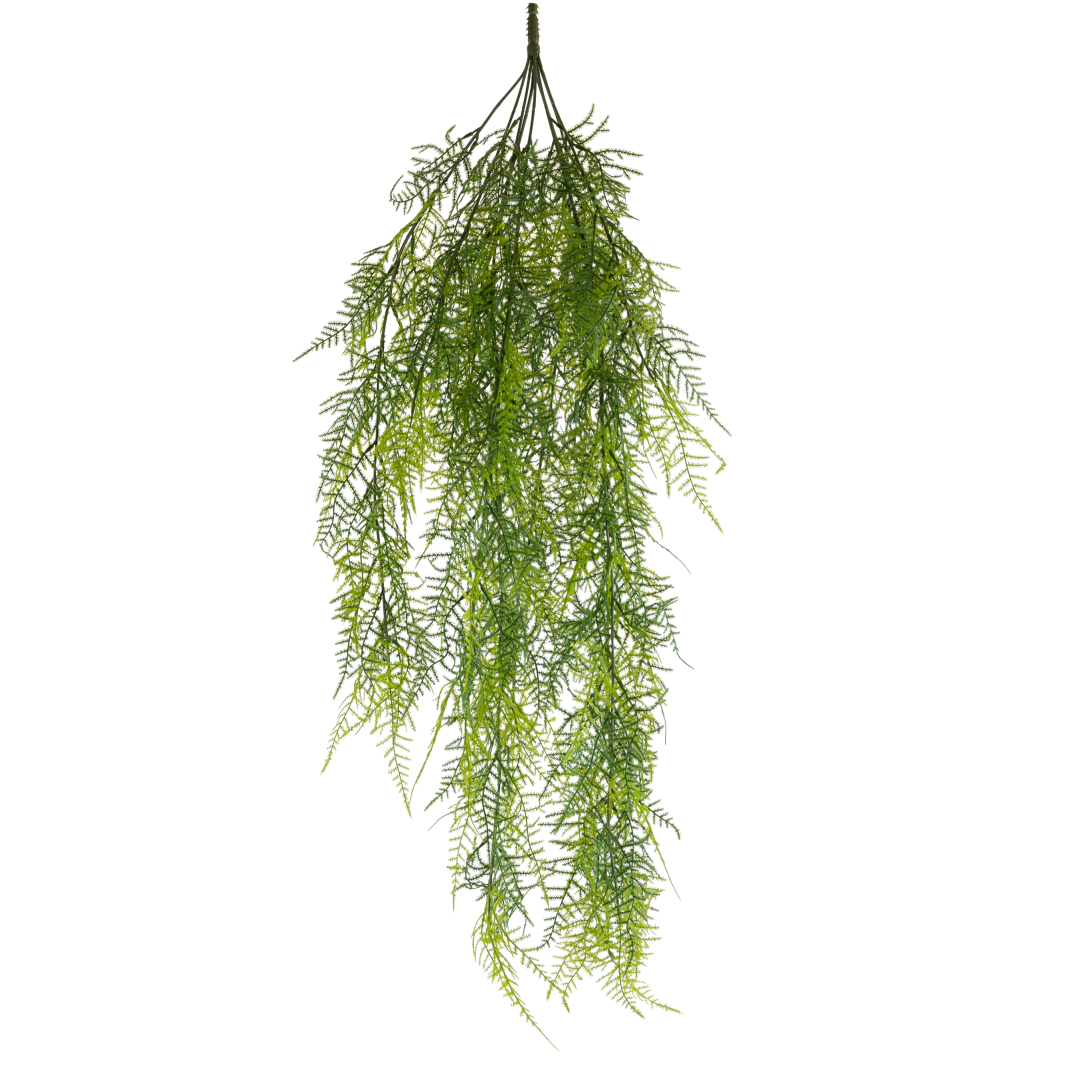 Plante_hengende_plumosus_bregne_85cm_16411