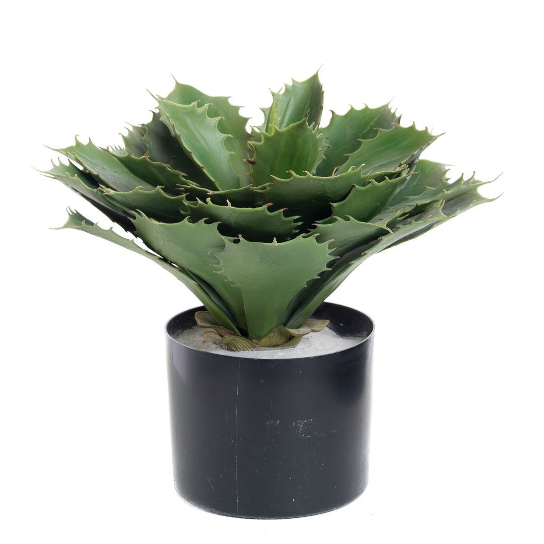 Plante_succulent_kaktus_H30xØ30cm_17038_1