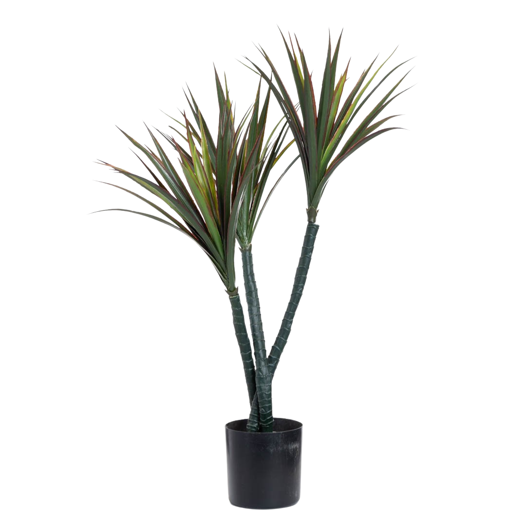 Plante_yucca_flettet_gronn-rodkantet_UV_H80cm_17400_1-.png
