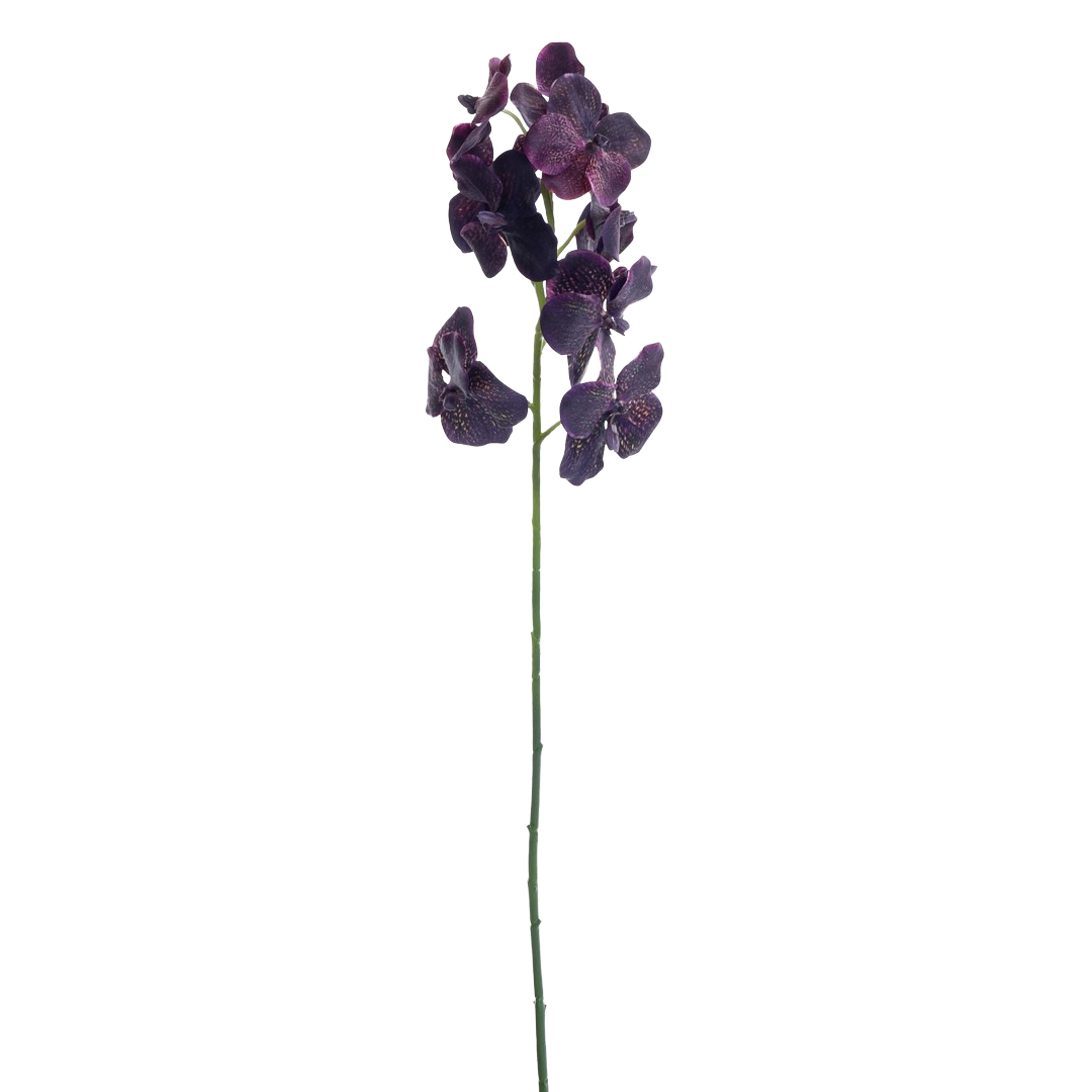 Vanda_orchide_aubergine_L106cm_17049_1-.png