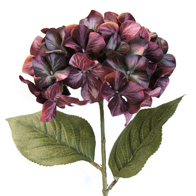 Hortensia flame lilla 65cm