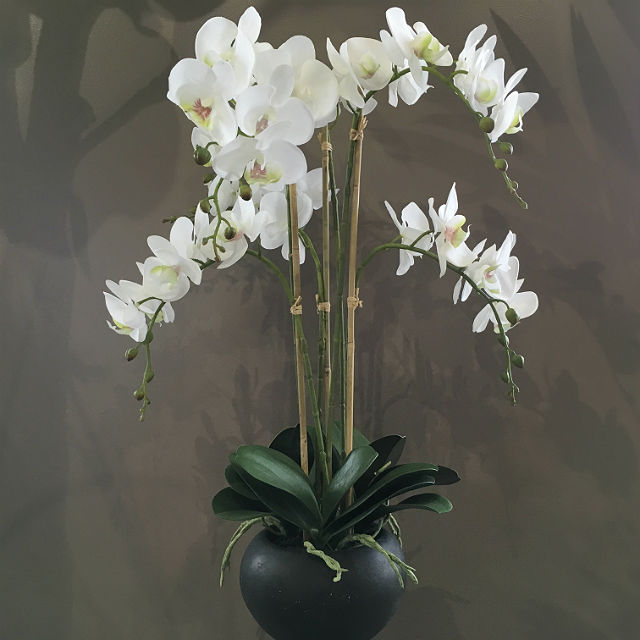 Kunstig orchide plante hvit m/sort potte H67cm