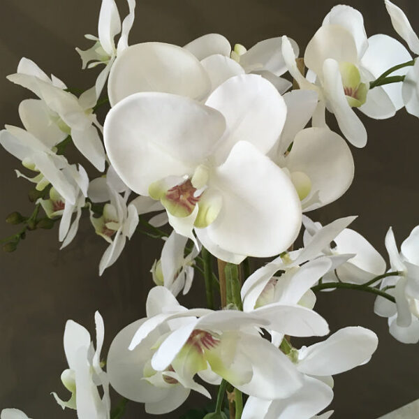 Kunstig orchide plante hvit m/sort potte H67cm