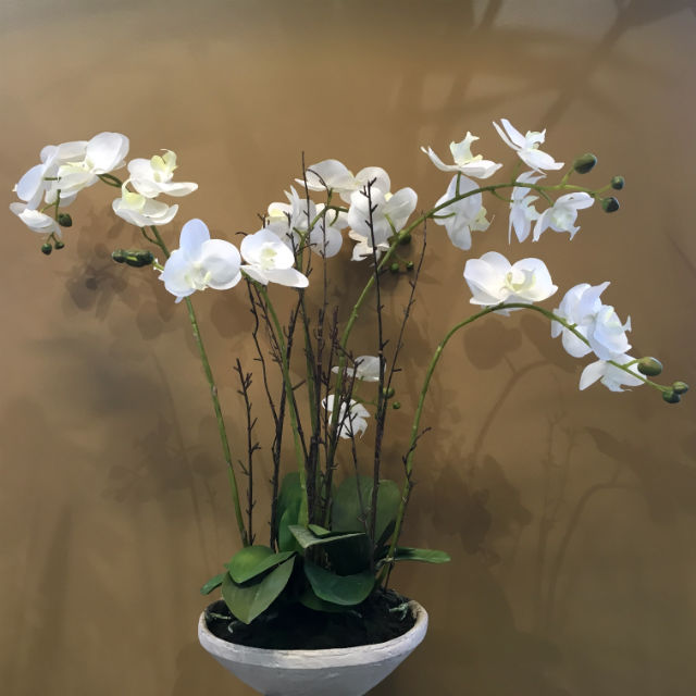 Kunstig orchide phalaenopsis plante hvit m/grener i fat