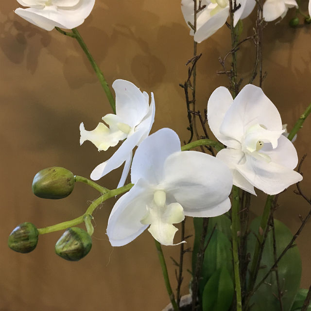 Kunstig orchide phalaenopsis plante hvit m/grener i fat