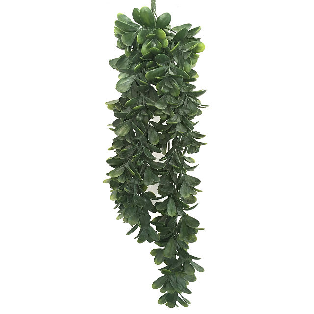 Succulent hengeplante støvgrønn L75cm u/potte