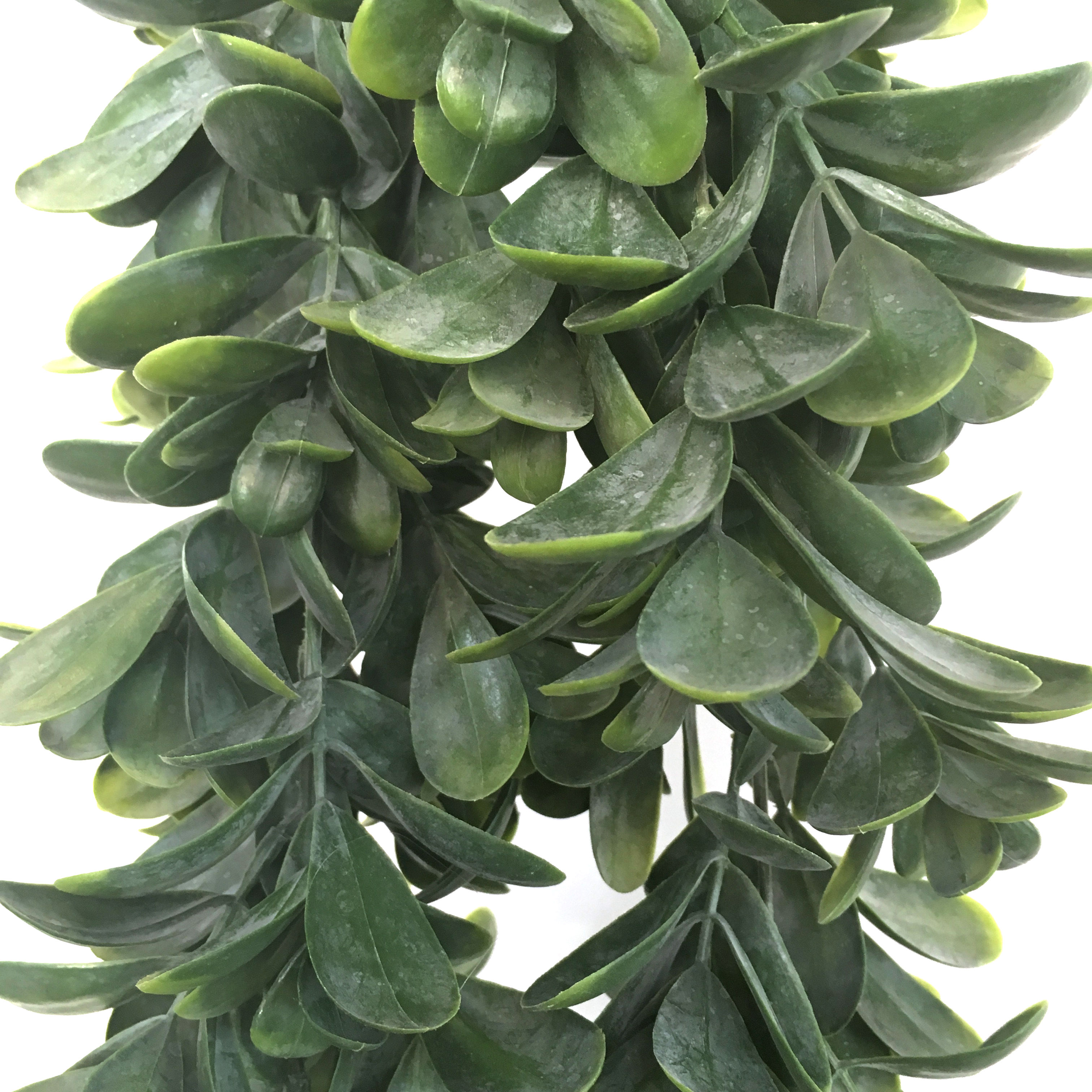 Succulent hengeplante støvgrønn L75cm u/potte