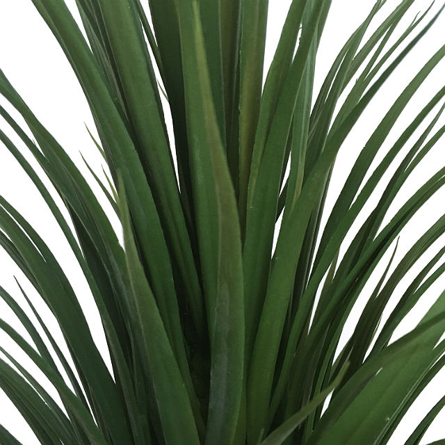 Palme yucca H110cm