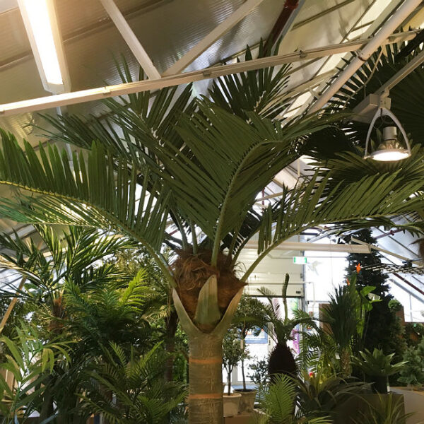 Kunstig palme kokos UTE H350cm m/monteringsplate